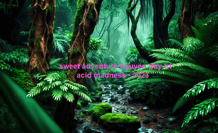 sweet adventure nguyen duy tri