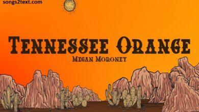 megan moroney tennessee orange lyrics