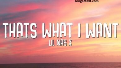 that's what i want lyrics