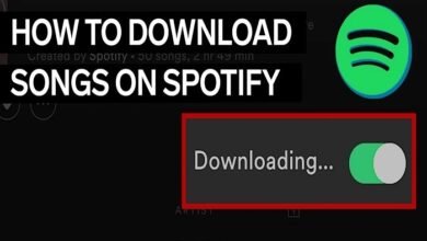 spotify song download