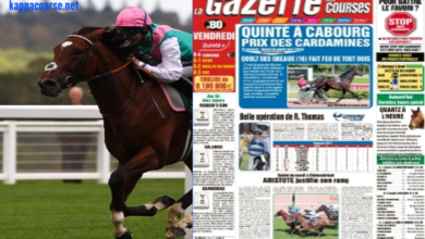 gazettedupmu2 de