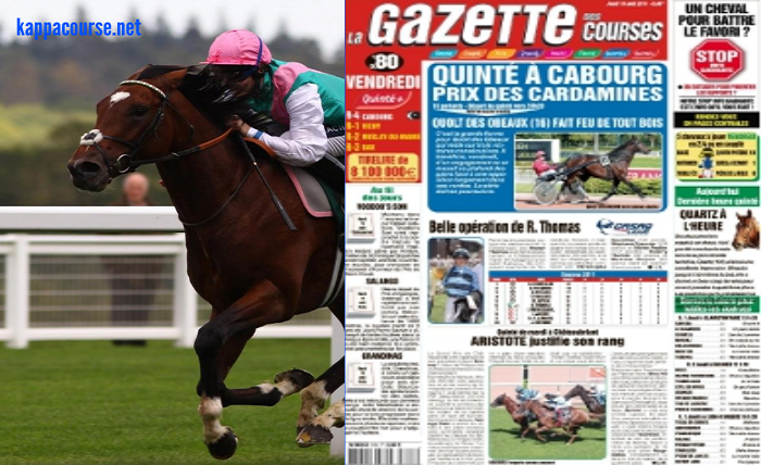 gazettedupmu2 de