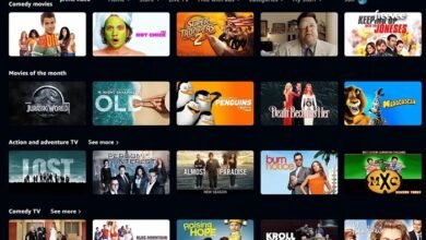 letflix free movie